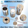 100ml Laboratory Hydrothermal Synthesis Autoclave Reactor